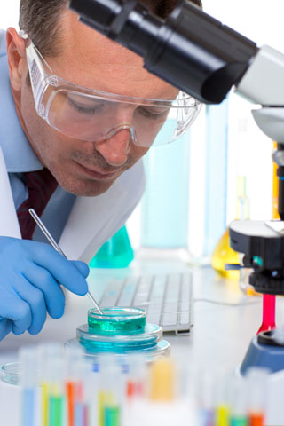 COA/MSDS Search